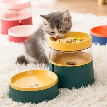 Pet Feeding and Drinking Bowl Combo